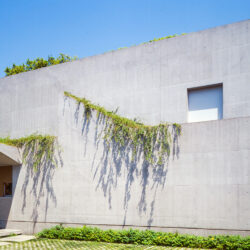 駒沢のコートハウス　外観　窓がなく閉鎖的な印象を植栽により和らげた　2階の開口は植栽のメンテ用の出入口