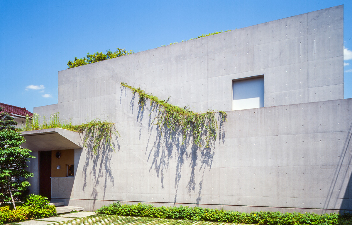駒沢のコートハウス　外観　窓がなく閉鎖的な印象を植栽により和らげた　2階の開口は植栽のメンテ用の出入口