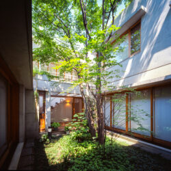 駒沢のコートハウス　各部屋から中庭の緑を眺められるように計画している