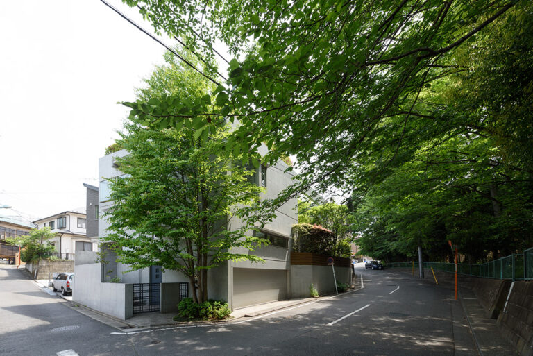 アプローチの緑｜Case2.富岡の診療所 緑と暮らす家｜村田淳建築研究室｜神奈川県の設計事務所