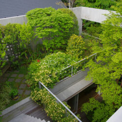 親緑住居　屋上庭園・中庭［2014］　３階レベルの屋上庭園から中庭を見下ろす　１階の中庭から２階、３階レベルの屋上庭園まで立体的に緑をしつらえている