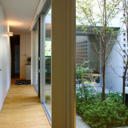 小さなコートハウス　中庭　個室から玄関方向を見る　明るく開放的で緑とつながりつつプライバシーを守った空間
