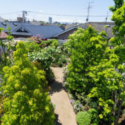 桜新町・緑庭の平屋　屋上庭園　木漏れ日、色とりどりの花、鳥が集い蝶が舞うさまはまるで楽園のよう　屋上緑化には、豊かな環境形成に加え建物への熱負荷を軽減するエコロジーの側面もある