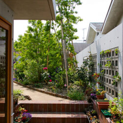 桜新町・緑庭の平屋　屋上庭園のバックヤード