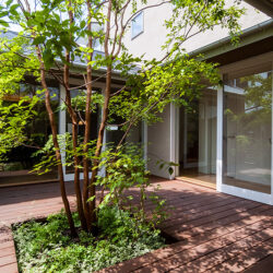 高田のコートハウス　中庭　コートハウスは隣家を気にすることなく大きな窓で開放的にできる