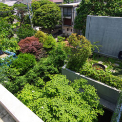 成田東のコートハウス　街の緑と家の緑のつながり