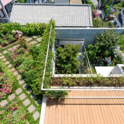 中海岸のコートハウス　屋上庭園から見下ろす　２階の屋上庭園、１階の中庭へと緑が立体的につながる