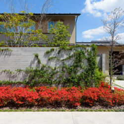 岩槻のコートハウス　外観　緑の絡まるRC壁の向こうは中庭で赤い花はキリシマツツジ