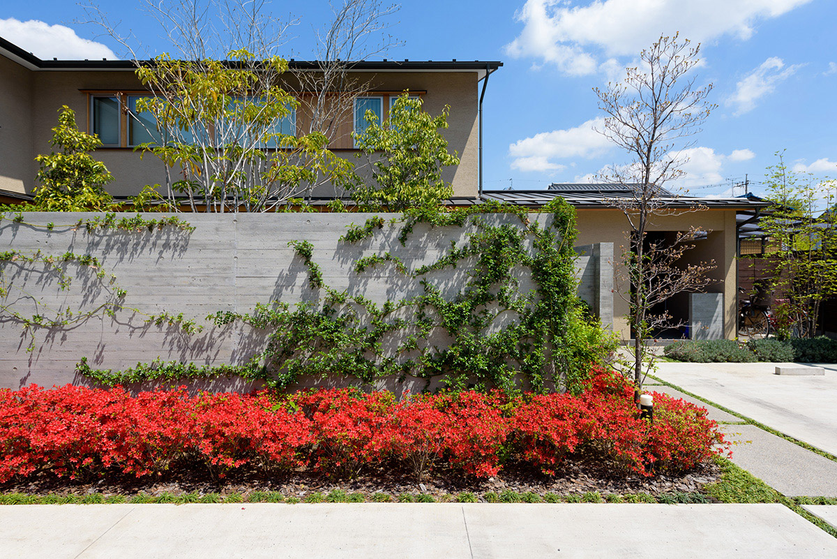 岩槻のコートハウス　外観　緑の絡まるRC壁の向こうは中庭で赤い花はキリシマツツジ