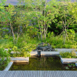 富岡の家　池