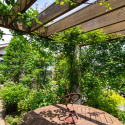 桜新町・緑庭の平屋　屋上庭園のパーゴラ