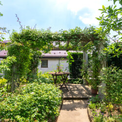 桜新町・緑庭の平屋　屋上庭園のパーゴラを見る