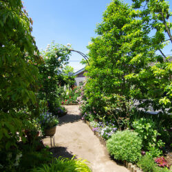 桜新町・緑庭の平屋　屋上庭園