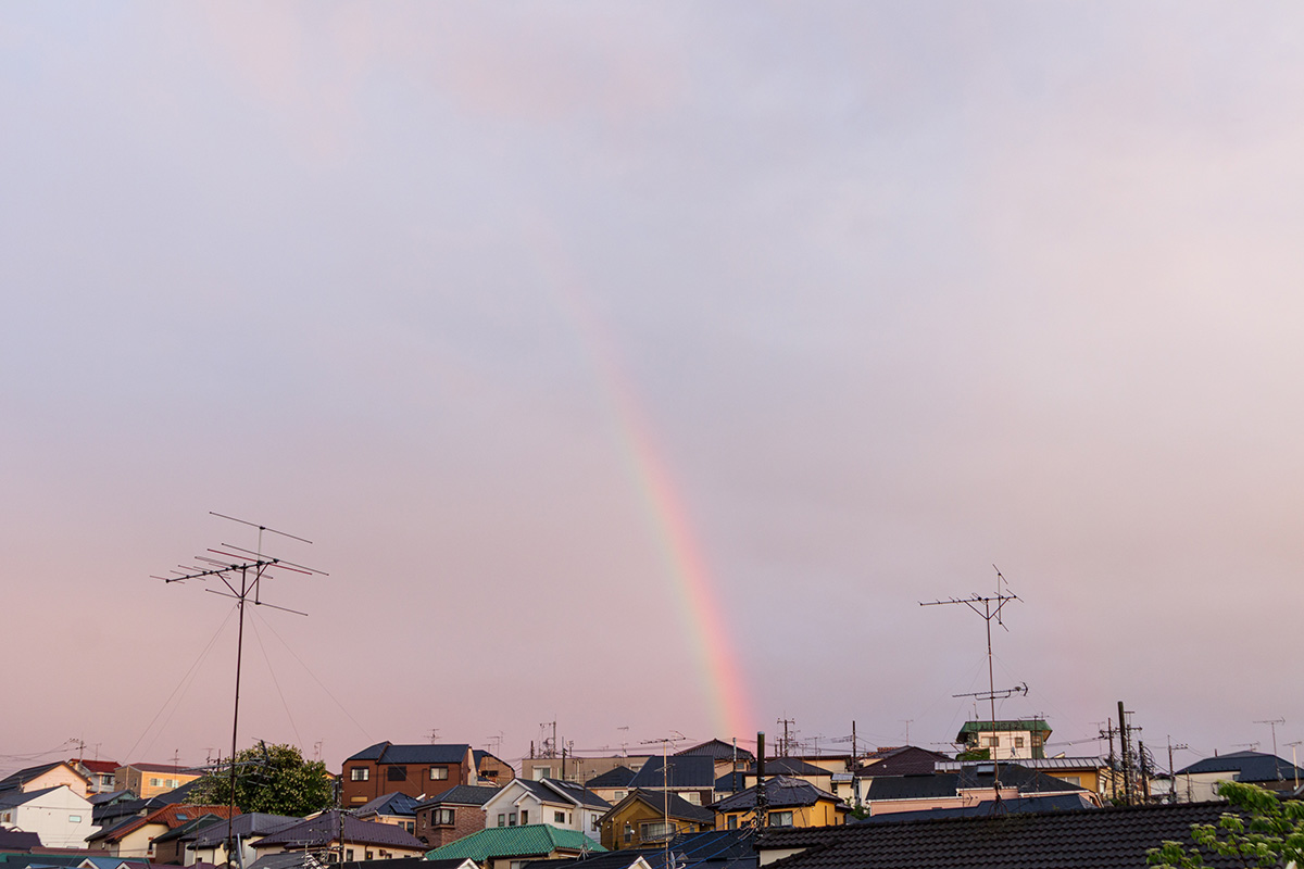 生田の虹